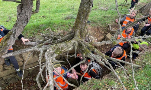 Bradwell Junior School children walk under a tree and its roots